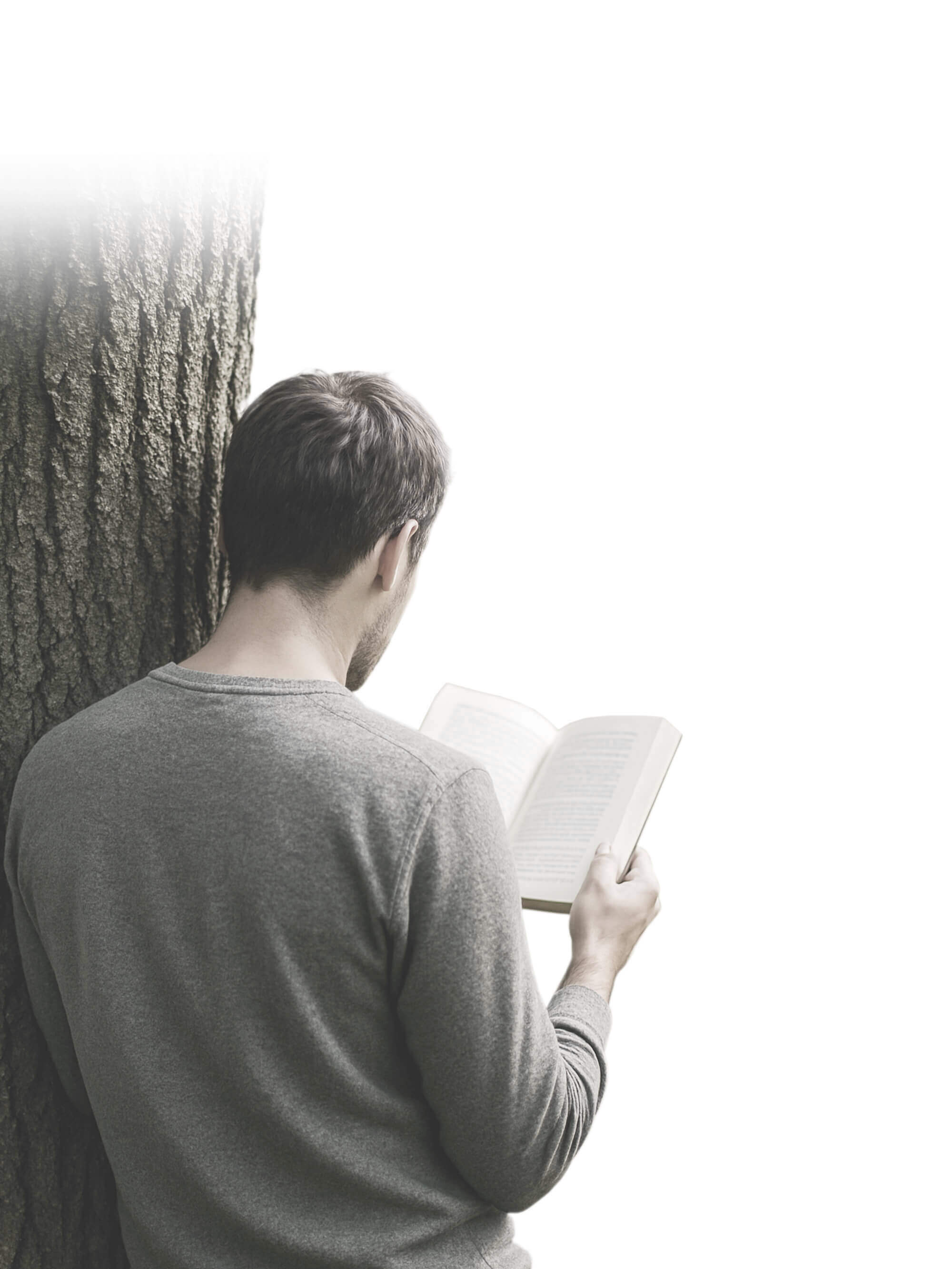 Ein Mann liest ein Buch im Wald
